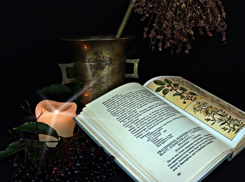 Plant Alchemy